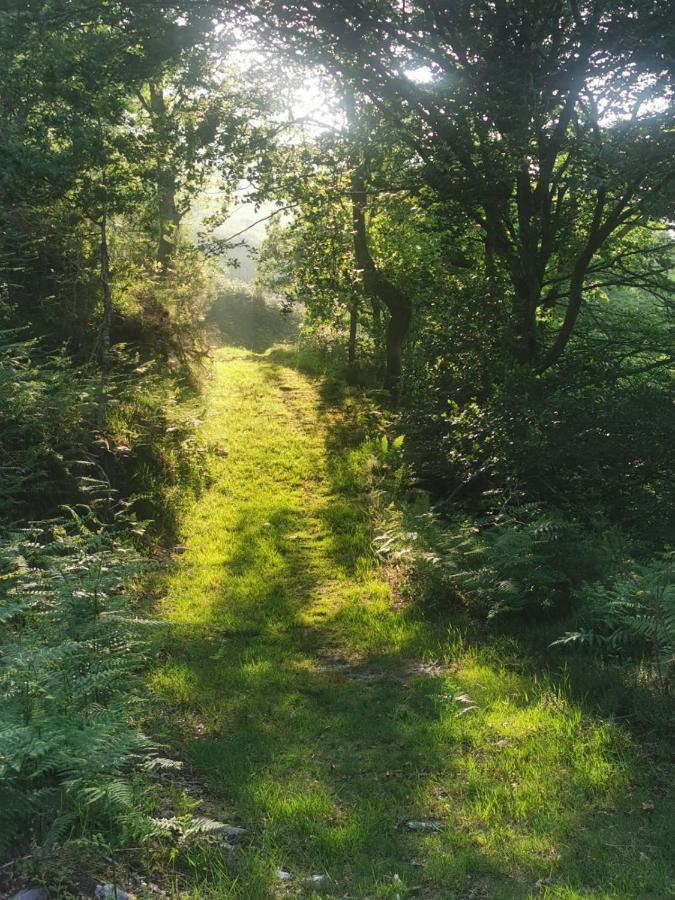 Zajazd Rural Penasagra
