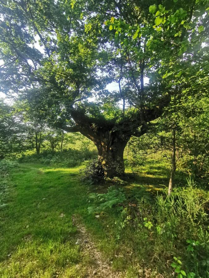 Rural Penasagra Zajazd